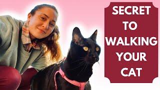 HOW TO WALK YOUR CAT: Our tips on how to train your cat to walk on a leash and harness!