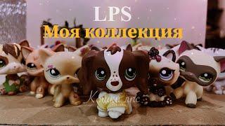 LPS: Моя коллекция - кошки лпс