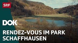 Rendez-Vous im Park: Naturpark Schaffhausen | DOK | SRF Wissen