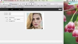 Filemaker Pro - Card Window