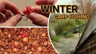 **WINTER CARP FISHING**Orchard Place Farm ꟾ Night Fishing ꟾ 2020