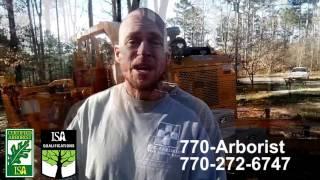 Tree Service Serving the North Atlanta Metro area