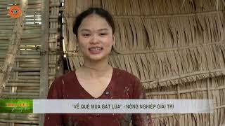 “VỀ QUÊ MÙA GẶT LÚA” - NÔNG NGHIỆP GIẢI TRÍ | VTV5