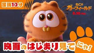 ＼見てニャ／ 映画『ねこのガーフィールド』冒頭10分を大公開 | 8月16日（金）全国公開