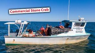 Inside A Million Dollar Stone Crab Operation