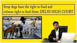 HIGH COURT'S JUDGEMENT ON STRAY DOGS | THE GO LEGAL | SUSHANT SAPRA