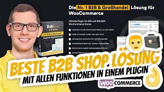Beste WooCommerce B2B Shop mit B2B King ‍  Alles in EINEM Plugin  B2B & B2C ohne Grenzen