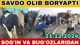 ZANG MOLBOZORI SOG'IN VA BUG'OZ SIGIR G'UNAJINLAR NARXLARI 21.12.2024