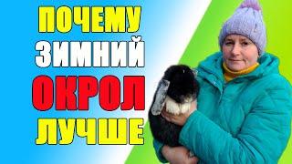 Кролики. Почему зимний окрол лучше.