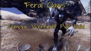 ESO - "Feral Claws" Werewolf Templar PvP Build Video