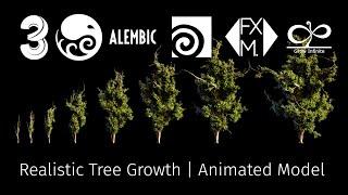 Realistic Tree Grow 3d Model | Procedural HIP Setup + Alembic Files (Animated)