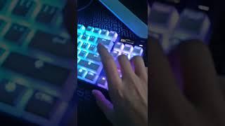 Steelseries apex pro TKL: The Coolest Keyboard Ever!
