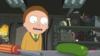 Rick & Morty - Morty Meets Pickle Rick