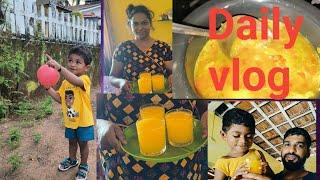 Morning to Evening Routine in husband Place #goanvlogger #konkanivideo #virl