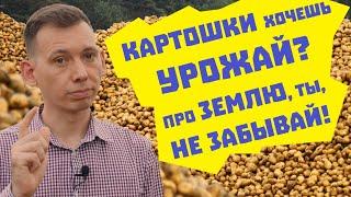 Как вырастить картофель и сохранить плодородие почвы?