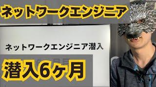 IT未経験からネットワークエンジニアになって半年経ったので今までを振り返る【ヌルゲー気味】