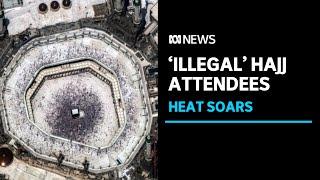 More than 1,300 pilgrims have died during Hajj in Saudi Arabia | ABC News