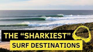 The “Sharkiest” Surf Destinations in the World…