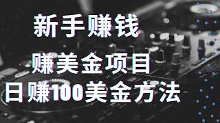 2021赚钱，新手Lead教程，日赚100美金的网络赚钱方法