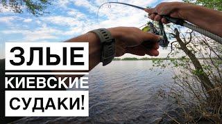 Активный клев судака на Днепре в Киеве. Джиговая рыбалка на судака с берега.