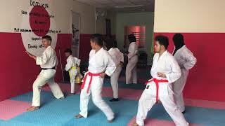 Heian nidan in one hand - JKA Karate Club