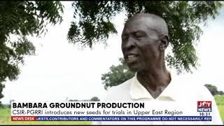 BAMBARA GROUNDNUT PRODUCTION.