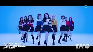 Mimimi - Serebro x Bboom bboom - momoland