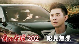 愛的榮耀 EP202 眼見無憑｜Glory of Love