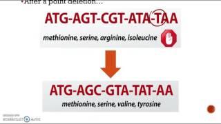 Part 3 Indels