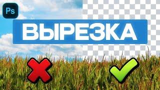 ВЫРЕЗКА В ФОТОШОПЕ | КАК ВЫРЕЗАТЬ СЛОЖНЫЙ ОБЪЕКТ? #photoshop #photoshoptutorial