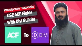How to use ACF Field with Divi Page Builder