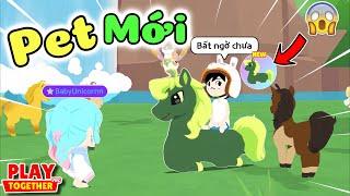 Play Together | Mình Đã Bí Mật Vô Acc Uni Dùng Hết Nhân Phẩm Mở Pet PONY Mới