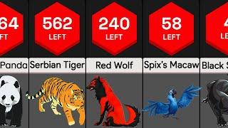 Most Endangered Species | Comparison