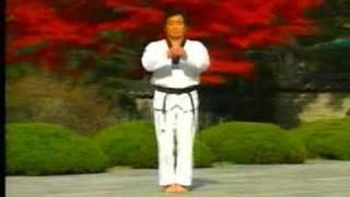 7. Taekwondo Poomsae Taegeuk Chil Jang (WTF)