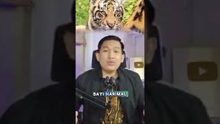 Bayi Harimau Sumatera "Bakso", Di Perkenalkan Ke Publik Di Amerika