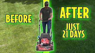 Fix Your Lawn in Just 21 Days!