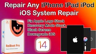 Fix iPhone/iPad Jailbreak Failed & Fix Stuck Apple Logo,Boot Loop, Black Screen,Tenorshare Reiboot