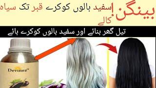 EggplantOil For Permanent Black Hair |Baingan ke Tail Se Sufaid Balon Ko MustaqilKala Kren |