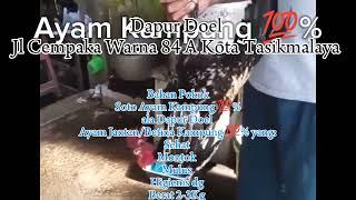 Soto Ayam Kampung Dapur Doel chicken supplier IIN NASIHIN Tasikmalaya0823 1555 7088/ 0853 1001 7024