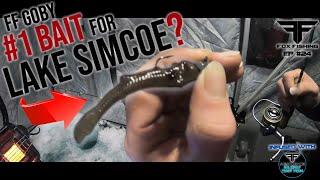 Fox Fishing Goby #1 Bait for LAKE SIMCOE? - AMAZING BAIT Fox Fishing Episode #24 ULTRA HD