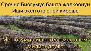 Биогумус ээн оной жана ото байыта турган бизнес экен мен озумда ишенген эмесмин. Сизда баштаныз