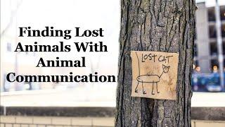 Finding Lost Animals With Animal Communication, Val Heart & Tim Link