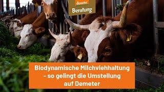 Demeter-Milchviehhaltung - so gelingt die Umstellung!