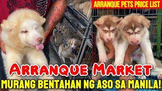 ARRANQUE PET MARKET | PRICE of PETS at ARRANQUE PET SHOP in MANILA! Dogs, Birds, Rabbits & MORE!