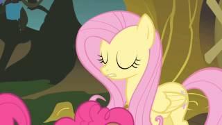 Песня Fluttershy. Злая колдунья.