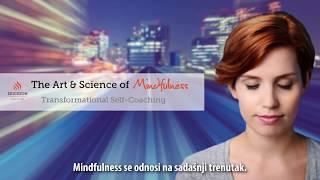 The Art & Science of Mindfulness - Marilyn Atkinson