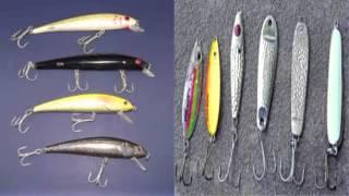 Rapala