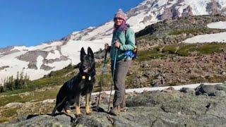 Dog Refuses to Leave Veteran’s Side as She’s Injured During Mountain Hike