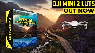 DJI Mini 2 LUTs | Make Drone Footage look AMAZING