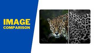 How To Create An Image Comparison Slider Using HTML, CSS and JavaScript